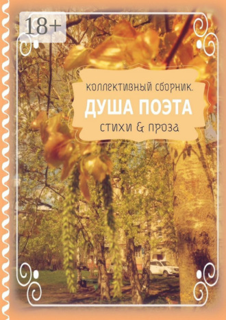 Душа поэта. Стихи & проза. Светлана Север