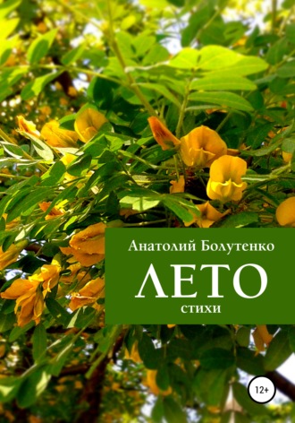 Лето. 