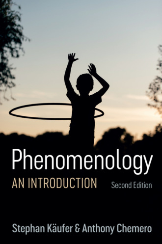 Phenomenology. Anthony  Chemero