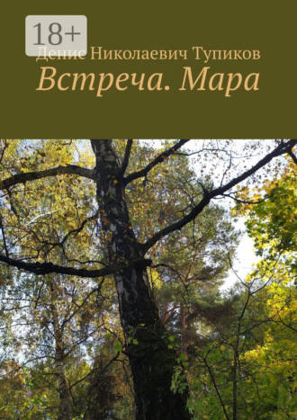 Денис Николаевич Тупиков. Встреча. Мара