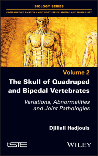 Djillali Hadjouis. The Skull of Quadruped and Bipedal Vertebrates