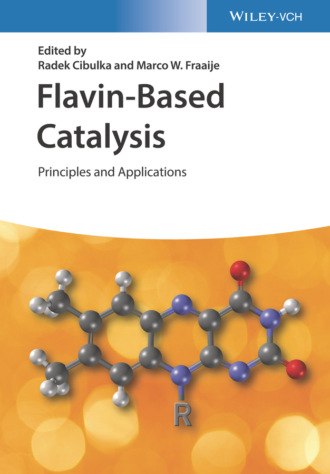 Группа авторов. Flavin-Based Catalysis