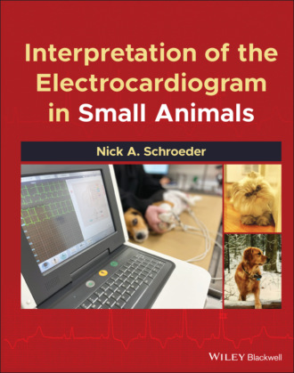 Nick A. Schroeder. Interpretation of the Electrocardiogram in Small Animals