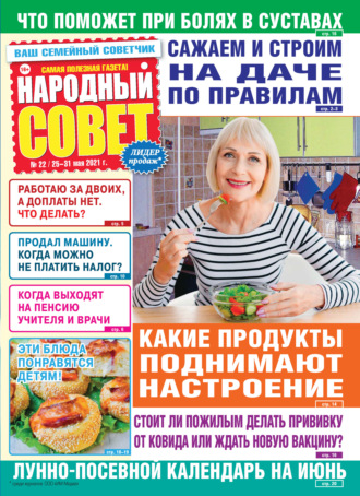 Группа авторов. Народный совет №22/2021