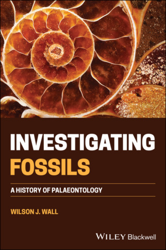 Wilson J. Wall. Investigating Fossils