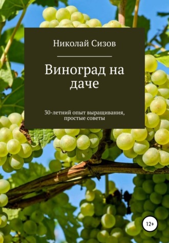 Николай Витальевич Сизов. Как вырастить виноград на даче в Средней полосе России