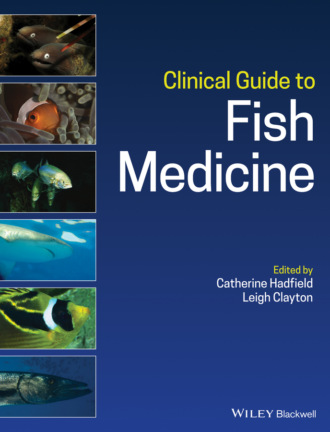Группа авторов. Clinical Guide to Fish Medicine