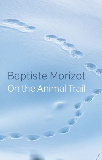 Baptiste Morizot. On the Animal Trail