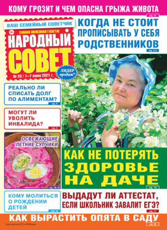 Группа авторов. Народный совет №23/2021