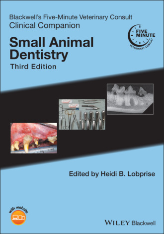 Группа авторов. Blackwell's Five-Minute Veterinary Consult Clinical Companion