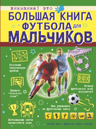 Марк Шпаковский. Большая книга футбола для мальчиков