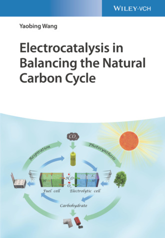 Yaobing Wang. Electrocatalysis in Balancing the Natural Carbon Cycle