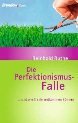 Reinhold Ruthe. Die Perfektionismus-Falle