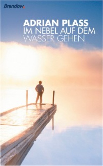 Adrian Plass. Im Nebel auf dem Wasser gehen