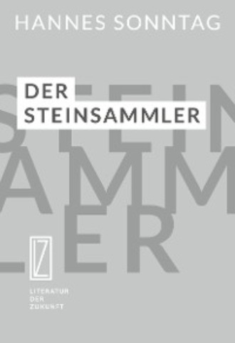 Hannes Sonntag. Der Steinsammler