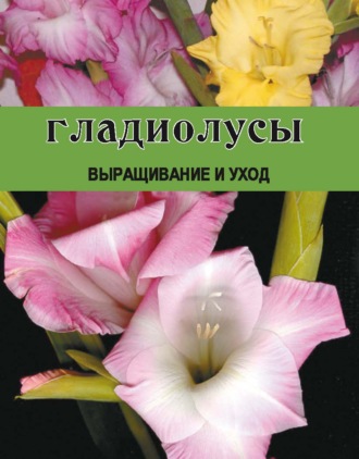 Гладиолусы. Выращивание и уход. Дарья Резько