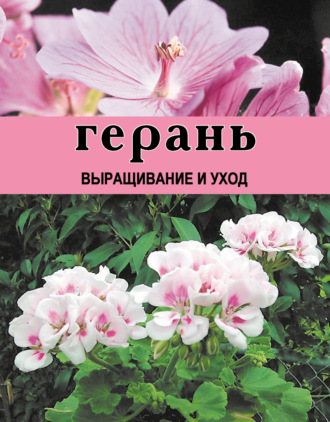Дарья Резько. Герань. Выращивание и уход
