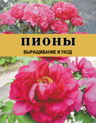 Дарья Резько. Пионы. Выращивание и уход