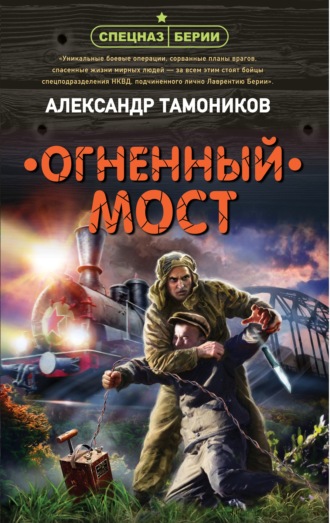 Александр Тамоников. Огненный мост