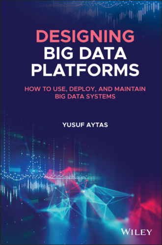 Yusuf Aytas. Designing Big Data Platforms