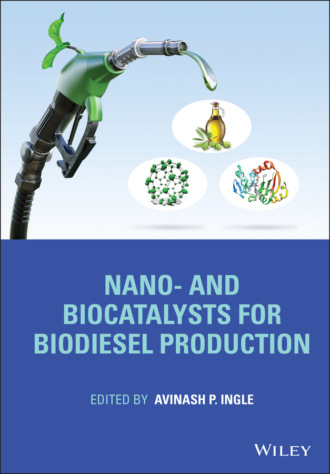 Группа авторов. Nano- and Biocatalysts for Biodiesel Production