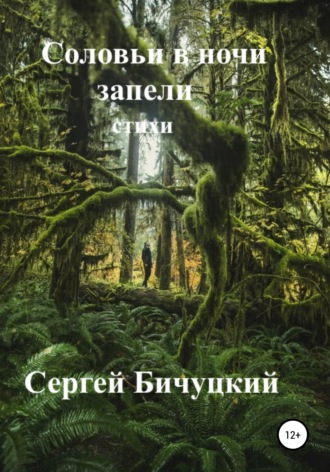 Соловьи в ночи запели. Сергей Марксович Бичуцкий