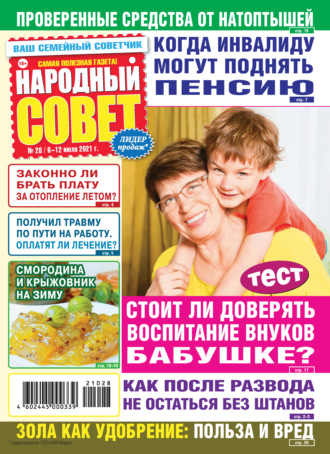 Народный совет №28/2021. Группа авторов