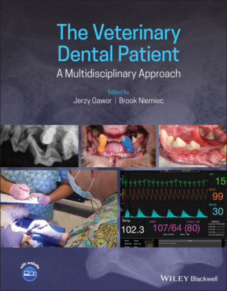 Группа авторов. The Veterinary Dental Patient: A Multidisciplinary Approach