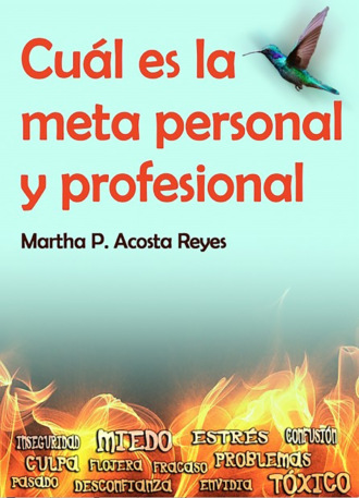 Martha P. Acosta Reyes. Cu?l es la meta personal y profesional