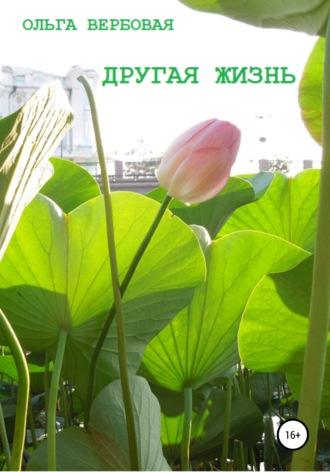 Другая жизнь. 