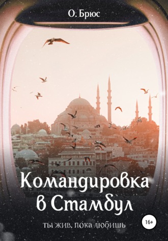 Командировка в Стамбул. О. Брюс