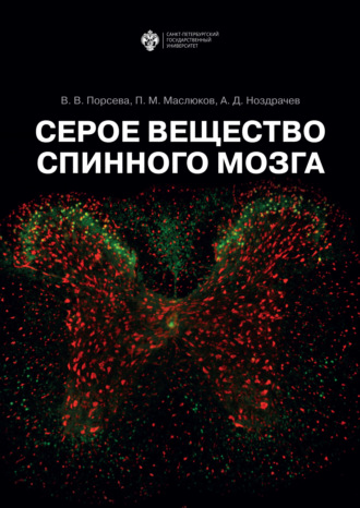 Серое вещество спинного мозга. 