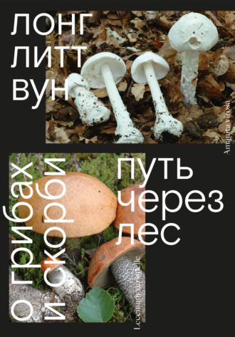 Путь через лес. О грибах и скорби. Лонг Литт Вун