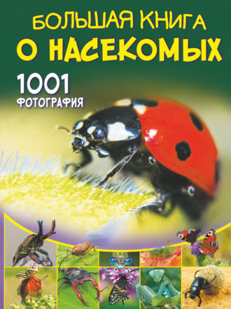 А. А. Спектор. Большая книга о насекомых. 1001 фотография