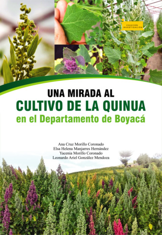 Ana Cruz Morillo Coronado. Una mirada al cultivo de la quinua en el departamento de Boyac?
