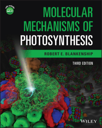 Robert E. Blankenship. Molecular Mechanisms of Photosynthesis