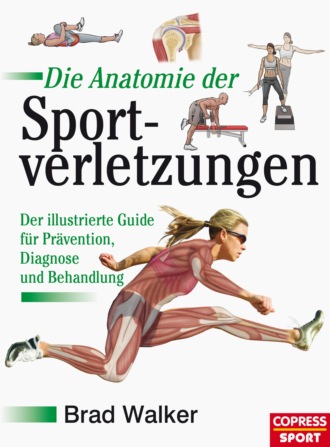 Брэд Уокер. Die Anatomie der Sportverletzungen
