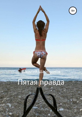 Василий Анатольевич Шарлаимов. Пятая правда