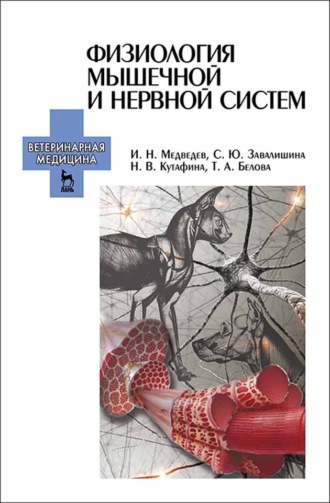 И. Н. Медведев. Физиология мышечной и нервной систем
