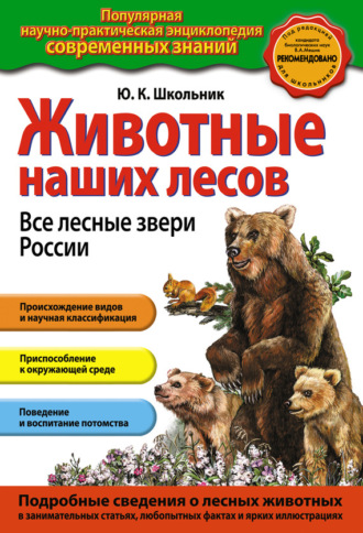Юлия Школьник. Животные наших лесов. Все лесные звери России
