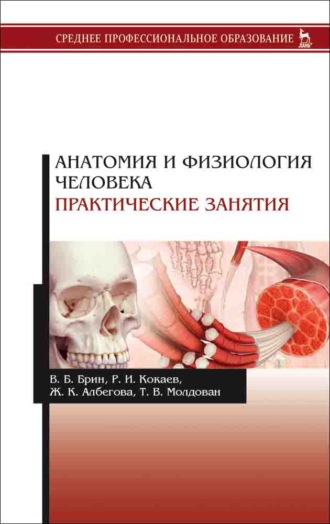 В. Б. Брин. Анатомия и физиология человека. Практические занятия