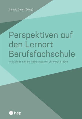 Группа авторов. Perspektiven auf den Lernort Berufsfachschule (E-Book)