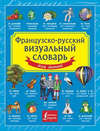Группа авторов. Французско-русский визуальный словарь для детей