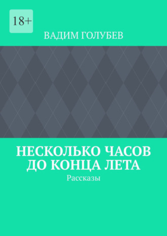 Несколько часов до конца лета. Рассказы. Вадим Голубев