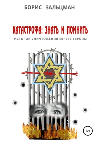 Катастрофа: знать и помнить. Борис Зальцман