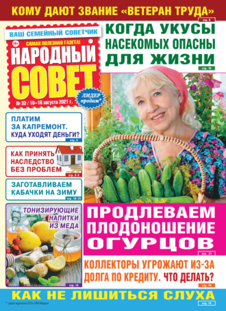 Народный совет №33/2021. Группа авторов