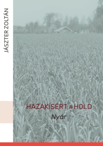 Hazakísért a Hold. Nyár. 
