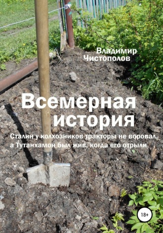 Владимир Чистополов. Всемерная история