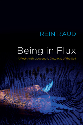 Rein Raud. Being in Flux