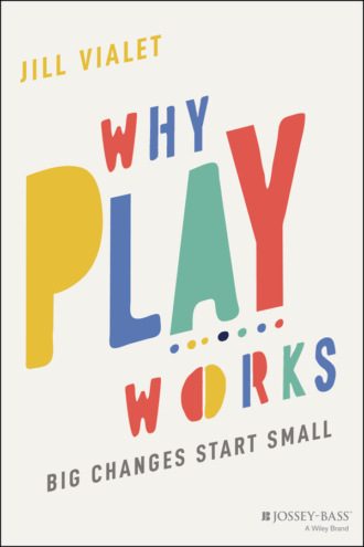 Jill Vialet. Why Play Works